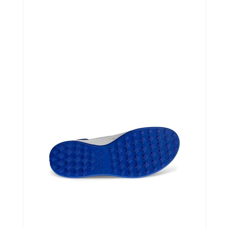Chaussure de golf Biom Hybrid BNY pour hommes ECCO