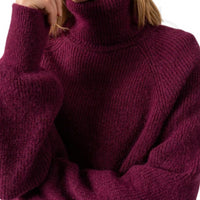 Albertville Saint-James turtleneck sweater