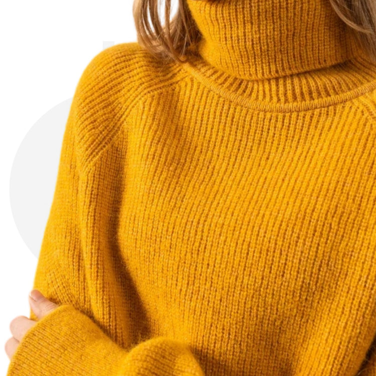 Albertville Saint-James turtleneck sweater