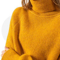 Albertville Saint-James turtleneck sweater