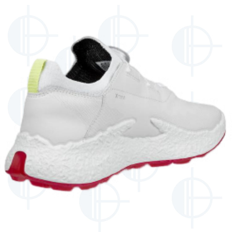 Chaussure BIOM H5 Boa Ecco W
