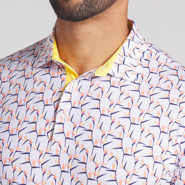 Polo MATTR Paradise Puma