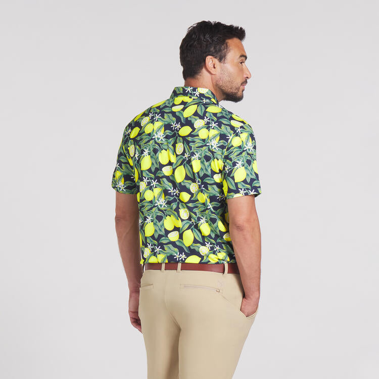 Polo X AP Lemon Branch Puma