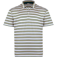 Polo VanNess Swannies Golf