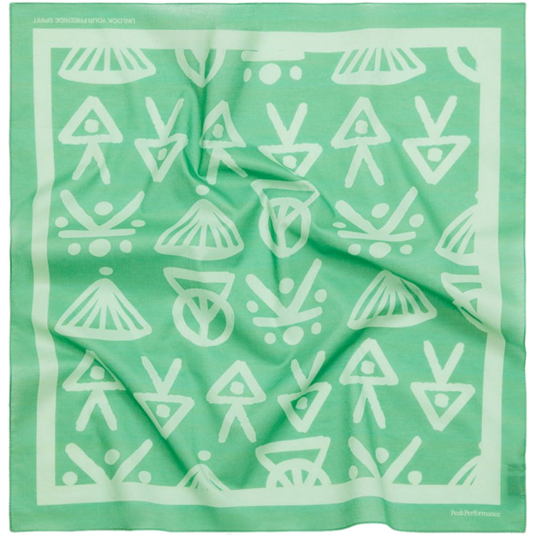 Bandana Artwork Peak Performance
