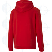 Puma TeamGoal Causals Hoodie