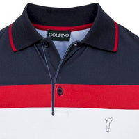 Polo Graphic Energy Striped
