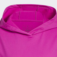 Hoodie Performance Adidas