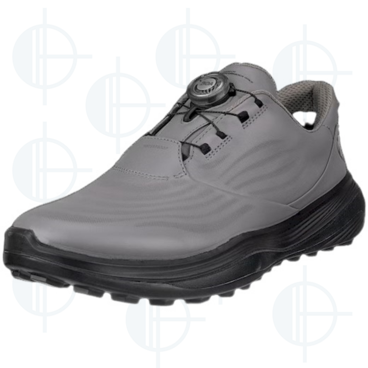 Ecco LT1 Boa Golf Shoe – Boutiques Horizon