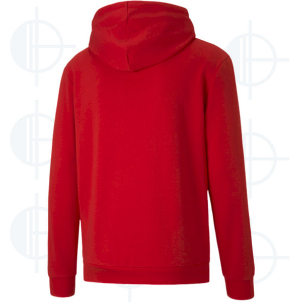 Hoodie TeamGoal Causals Puma