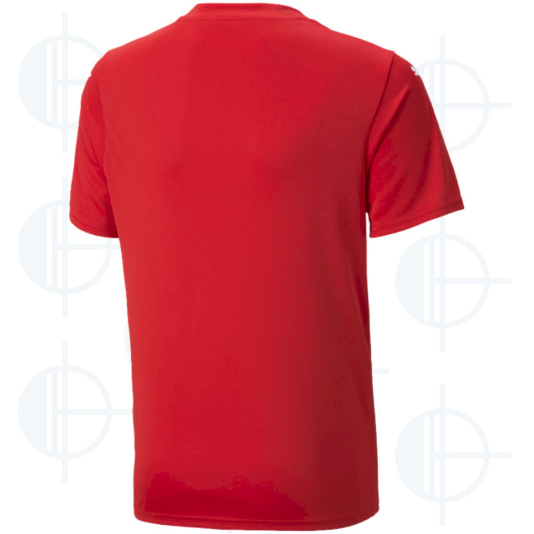 Jersey Team Ultimate Jr Puma