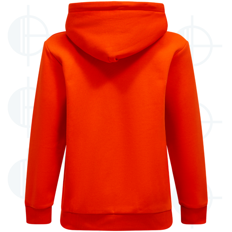 Hoodie Original Small Logo W Peak Performance