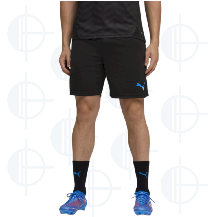 Short d'entraînement IndividualCUP Puma