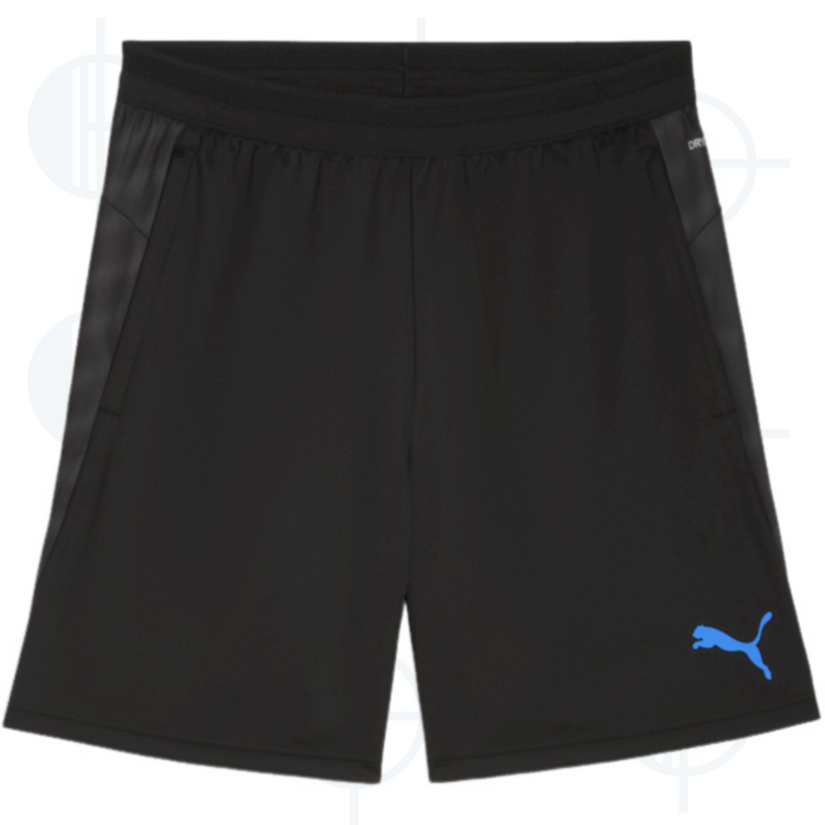 Short d'entraînement IndividualCUP Puma
