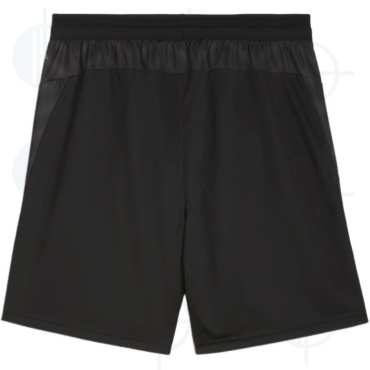 Short d'entraînement IndividualCUP Puma