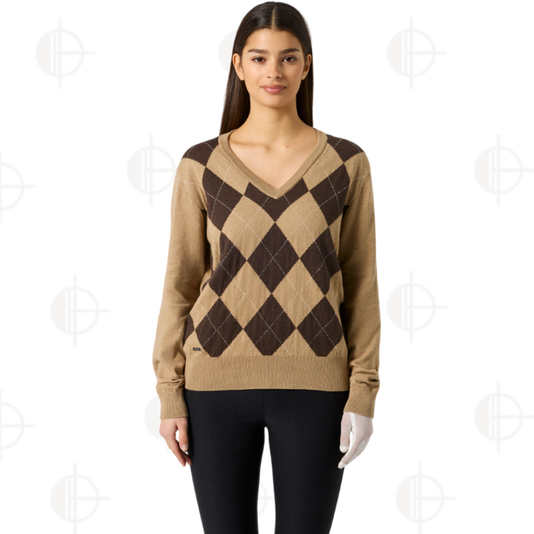 Pullover Argyle V-Neck Daily Sports