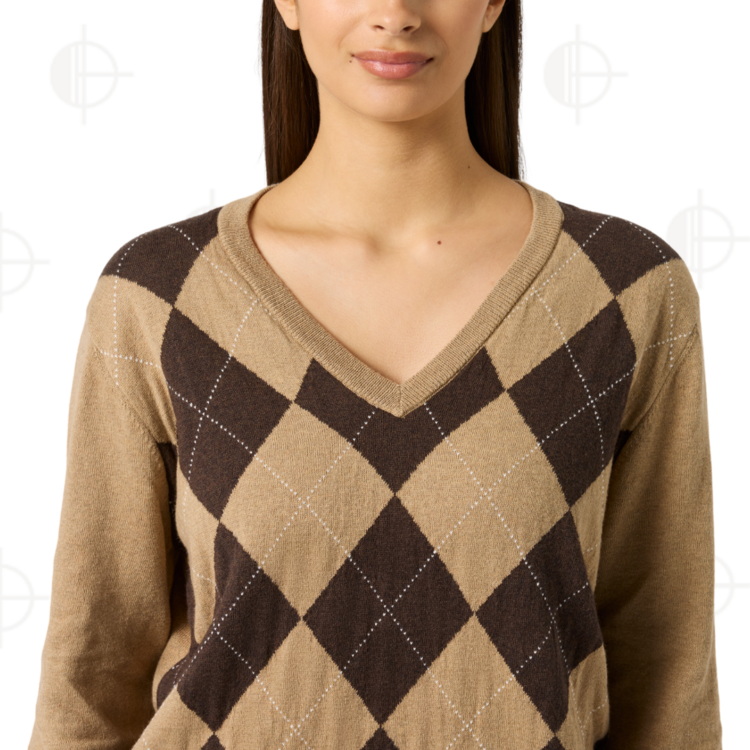 Pullover Argyle V-Neck Daily Sports